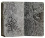 Una delle 416 immagini del taccuino di Andrea Lelario, 2010 19. Micropenne su carta. Courtesy l’artista