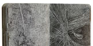 Una delle 416 immagini del taccuino di Andrea Lelario, 2010 19. Micropenne su carta. Courtesy l’artista