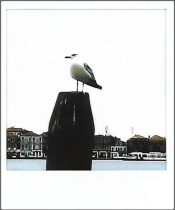 A meno di noi, photo Anna Toscano, Venezia marzo 2020