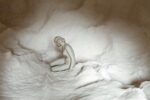 Andrea Salvatori, Testone, (particolare), 2016, ceramica e porcellana, 60x70x80cm, photo Luca Nostri, courtesy l'artista.