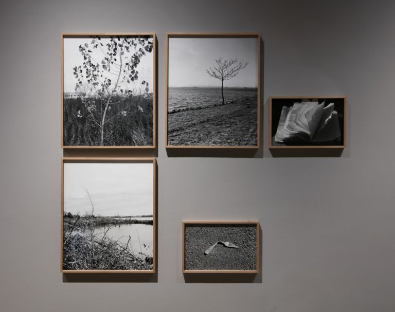 Antonio Rovaldi ‒ Il suono del becco del picchio, installation view at Ala Vitali - Accademia Carrara, Bergamo, 2020. Mostra promossa dalla GAMeC di Bergamo, realizzata grazie al sostegno di Italian Council (2019). Photo Antonio Maniscalco