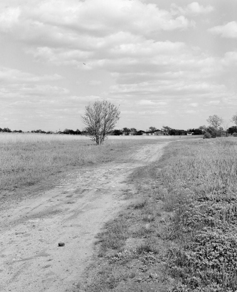 Antonio Rovaldi, May 8, 2017, Inside Spring Creek Park, 159th Ave and 78th St, Queens, stampa analogica ai sali d’argento su carta baritata, cm 50 x 60. Realizzata grazie al sostegno di Italian Council (2019)