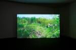 Liisa Lounila. Shadow Zone. Exhibition view at Kiasma, Helsinki 2019. Photo Finnish National Gallery – Pirje Mykkänen