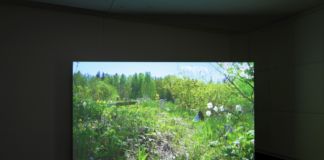 Liisa Lounila. Shadow Zone. Exhibition view at Kiasma, Helsinki 2019. Photo Finnish National Gallery – Pirje Mykkänen