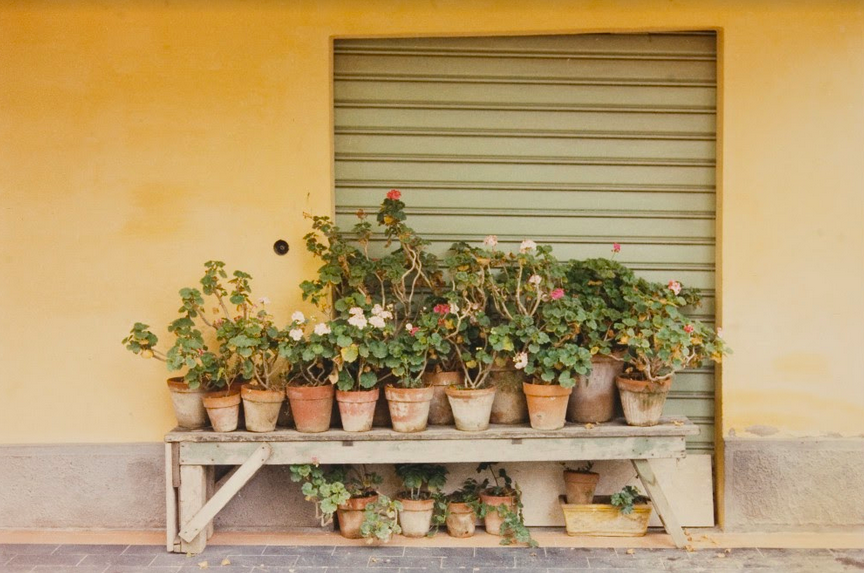 Luigi Ghirri, “Colazione sull’erba”, 1972 74. Comune di Modena, Collezione Galleria Civica Fondazione Modena Arti Visive ©Eredi di Luigi Ghirri