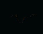 Mathew McWilliams, Blackground, 2005, C type print, cm 140x110