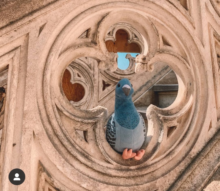 La città di Milano dal punto di vista di un piccione. E altre storie meneghine su Instagram