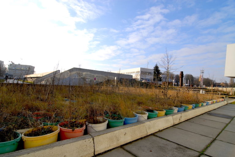 Lois Weinberger, Mobile Gardens