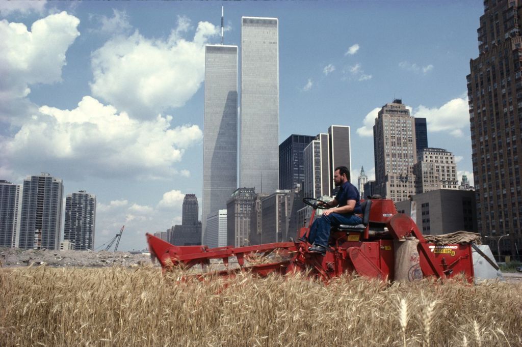 Il grano a Manhattan. Intervista con Agnes Denes