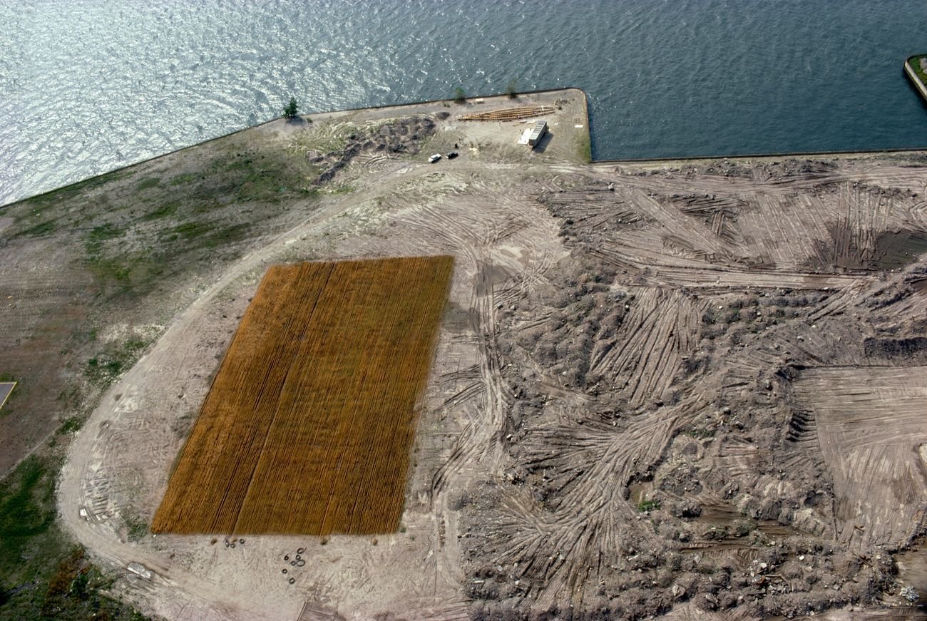 Agnes Denes, Wheatfield - A Confrontation. Battery Park Landfill, Downtown Manhattan - The Harvest, 1982 © Agnes Denes. Courtesy Leslie Tonkonow Artworks + Projects, New York