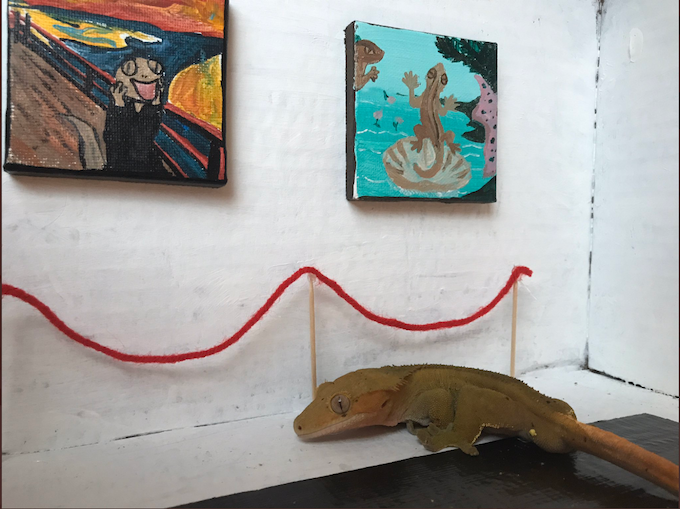 Il Gecko Museum di Dallas credits @jillisyoung via Twitter