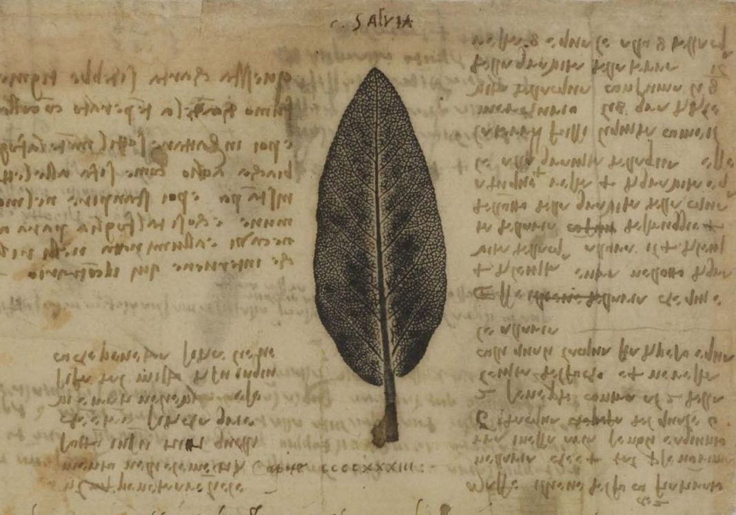 Leonardo da Vinci, Codex Atlanticus, 1478 1518