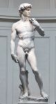 Michelangelo, David, 1501 04. Firenze, Galleria dell’Accademia