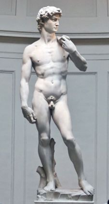 Michelangelo, David, 1501 04. Firenze, Galleria dell’Accademia