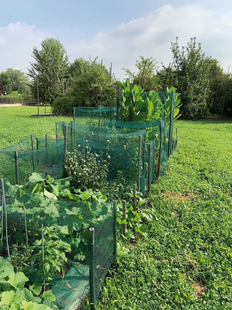 Michele Guido, Cosmos Seed Garden Project #1, 2014 19, PAV – Parco Arte Vivente, Torino. Photo Valentina Bonomonte, courtesy the artist & Parco Arte Vivente, Torino