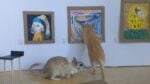 Museo dei criceti, fonte Twitter Filippo Lorenzin