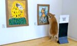 Museo dei criceti, fonte Twitter Filippo Lorenzin