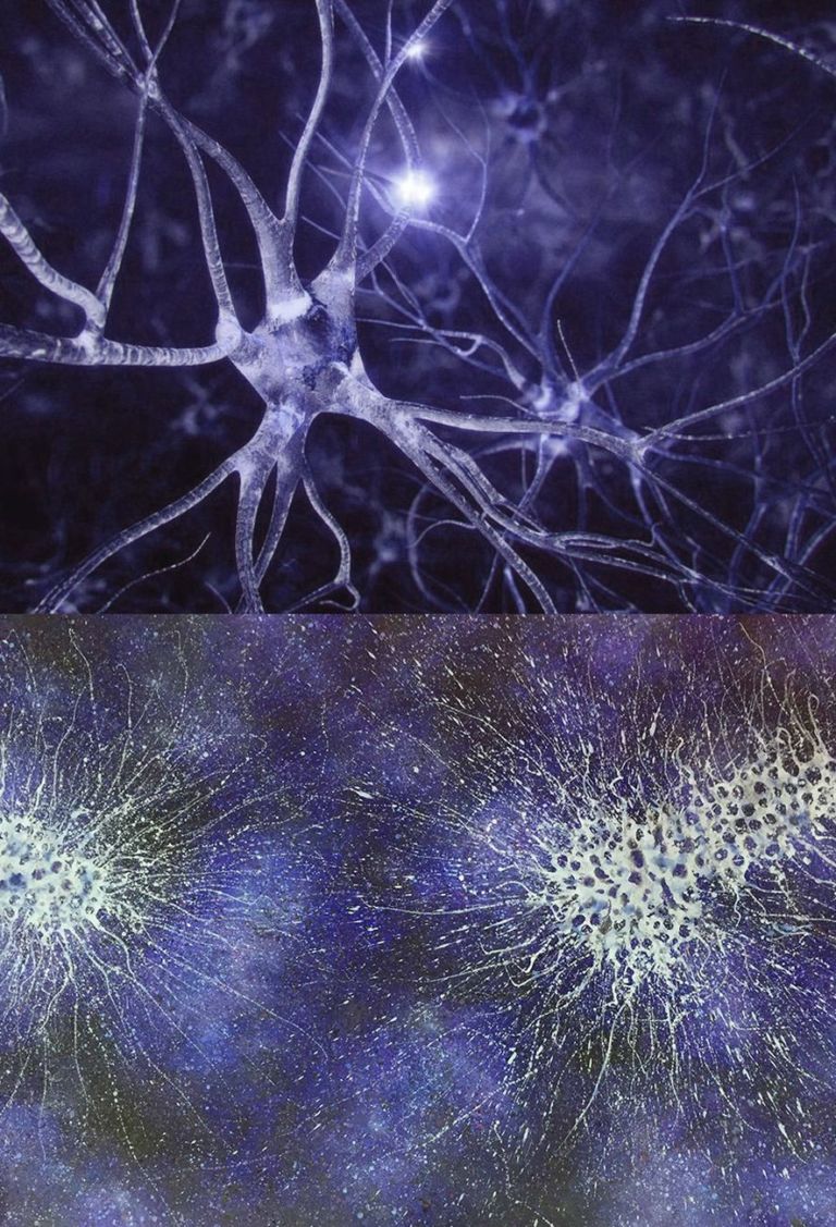 Sopra, le tipiche ramificazioni del regno naturale (un circuito neuronale, in questo caso); sotto, un tipico grafismo di Alberto Di Fabio