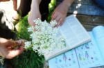 Wapke Feenstra, Libera Scuola del Giardino, PAV