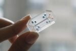 “Lung on a chip” è il modello tridimensionale di un polmone umano su microchip. Frutto di un progetto dell’università di Harvard, fa parte della collezione permanente del MoMA
