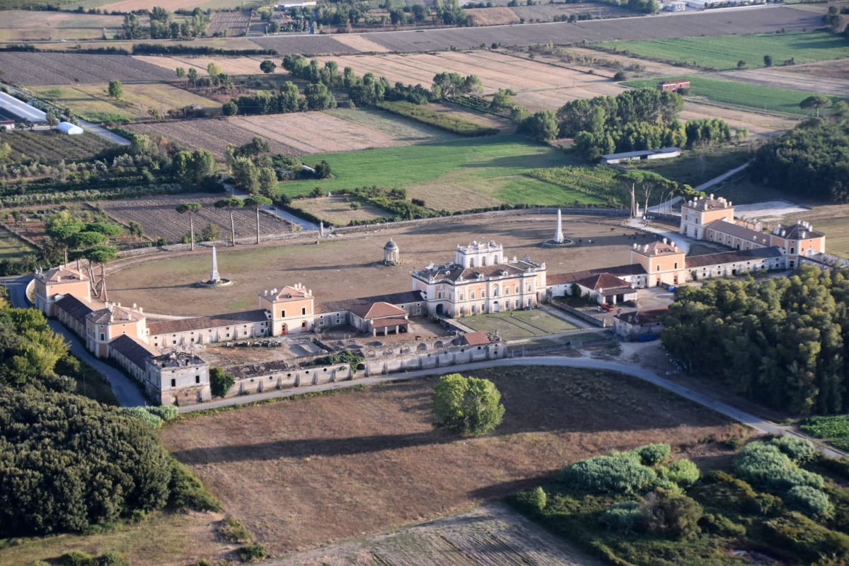 Boschi 