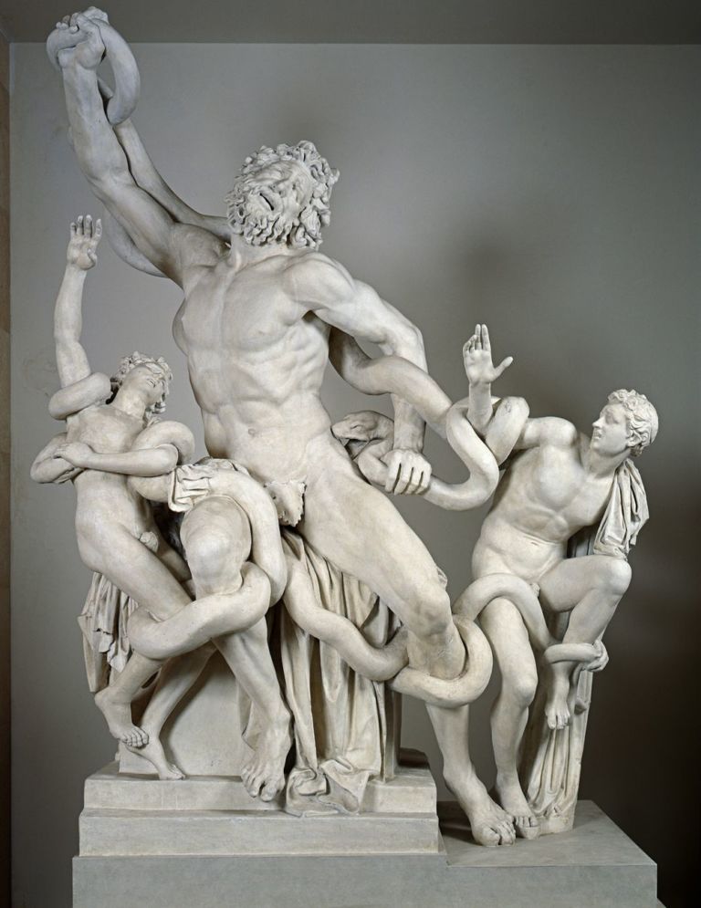 Calco del gruppo del Laocoonte, gesso. Città del Vaticano, Musei Vaticani