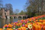 FLORALIA BRUSSELS Castello di Groot Bijgaarden