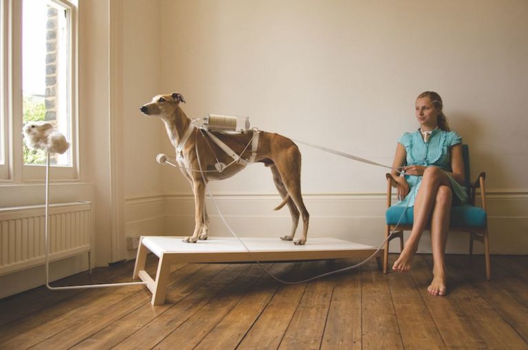 “Life Support Respiratory Dog”, progetto di due giovani designer del Royal College of Art di Londra, Revital Cohen e Tuur Van Balen, in cui un cane viene usato come sostituto di un ventilatore meccanico