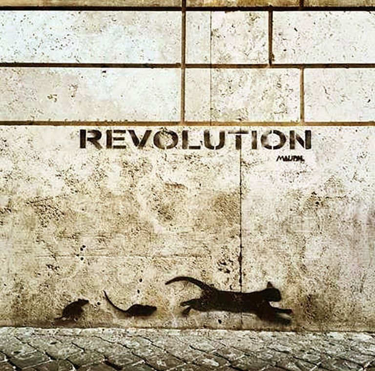 Maupal, Revolution, Borgo Vittorio, Roma, 2014