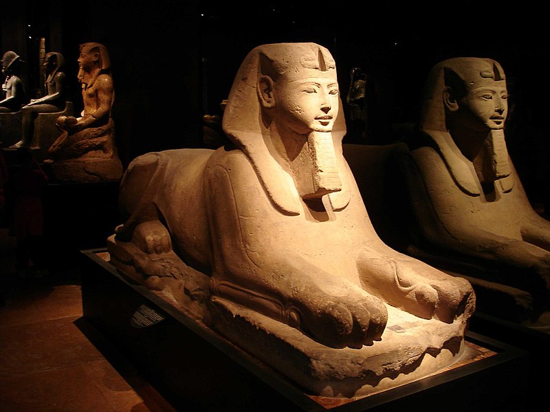 Museo Egizio di Torino, ph. Tim Adams - fonte Wikipedia