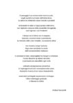 Pensiero Magico, Andrea Nacciarriti
