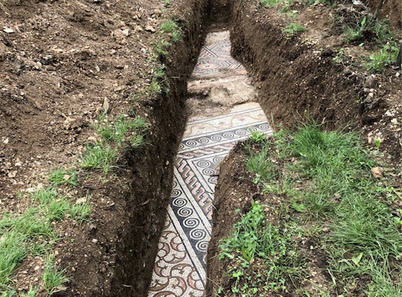 Scoperto sotto i vigneti della Valpolicella in Veneto stupendo mosaico di epoca romana