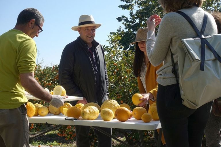 Food design. I limoni di Vicente Todolì incontrano il gelato di Mara dei Boschi