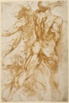 Anatomical Studies; Peter Paul Rubens (Flemish, 1577 - 1640); about 1600–1605; Pen and brown ink; 27.9 × 18.7 cm (11 × 7 3/8 in.); 88.GA.86; courtesy of the Getty’s Open Content Program