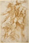 Anatomical Studies; Peter Paul Rubens (Flemish, 1577 - 1640); about 1600–1605; Pen and brown ink; 27.9 × 18.7 cm (11 × 7 3/8 in.); 88.GA.86; courtesy of the Getty’s Open Content Program