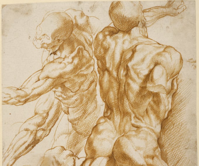 Anatomical Studies; Peter Paul Rubens (Flemish, 1577 - 1640); about 1600–1605; Pen and brown ink; 27.9 × 18.7 cm (11 × 7 3/8 in.); 88.GA.86; courtesy of the Getty’s Open Content Program (detail)