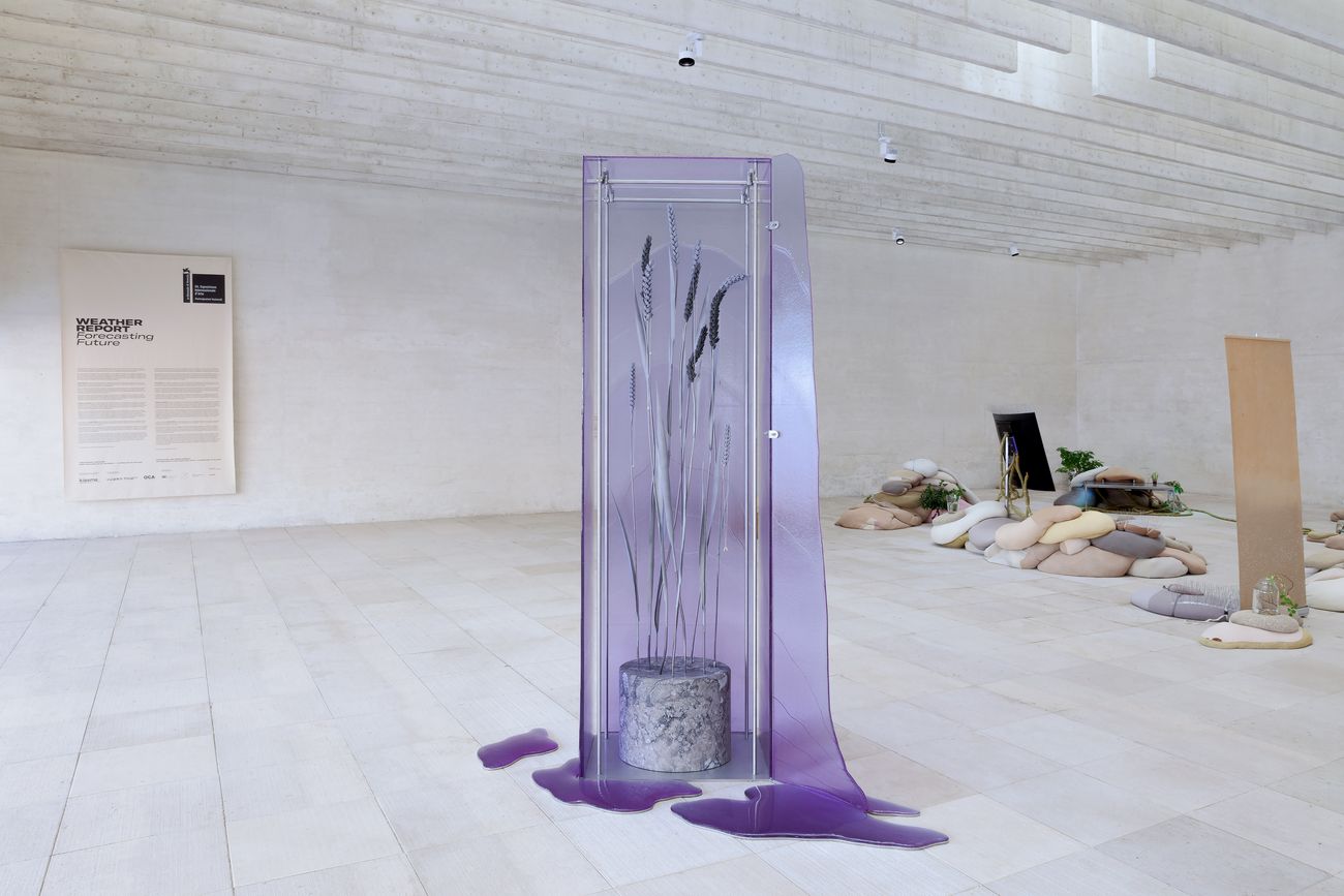 Ane Graff, States of Inflammation, 2019. Exhibition view at La Biennale di Venezia, 2019. Photo Pirje Mykannen. Courtesy Finnish National Gallery   KIASMA