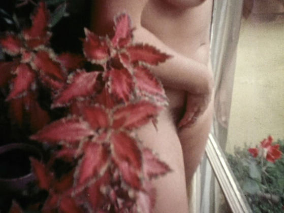 Barbara Hammer, X, 1975, 16mm film transferred to video, 7′04″, color, sound. Video still. Courtesy of the Estate of Barbara Hammer and KOW, Berlin Madrid