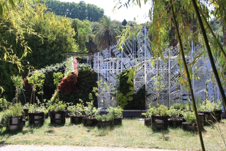 The Living Chapel, Orto Botanico di Roma. Photo credits courtesy of Consuelo Fabriani