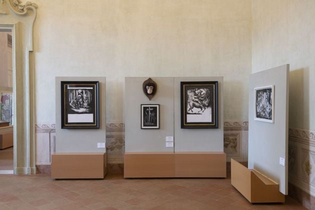 Ericailcane. Potente di fuoco e altri disegni. Installation view at Palazzo Rasponi dalle Teste, Ravenna 2020, photo Rolando Paolo Guerzoni