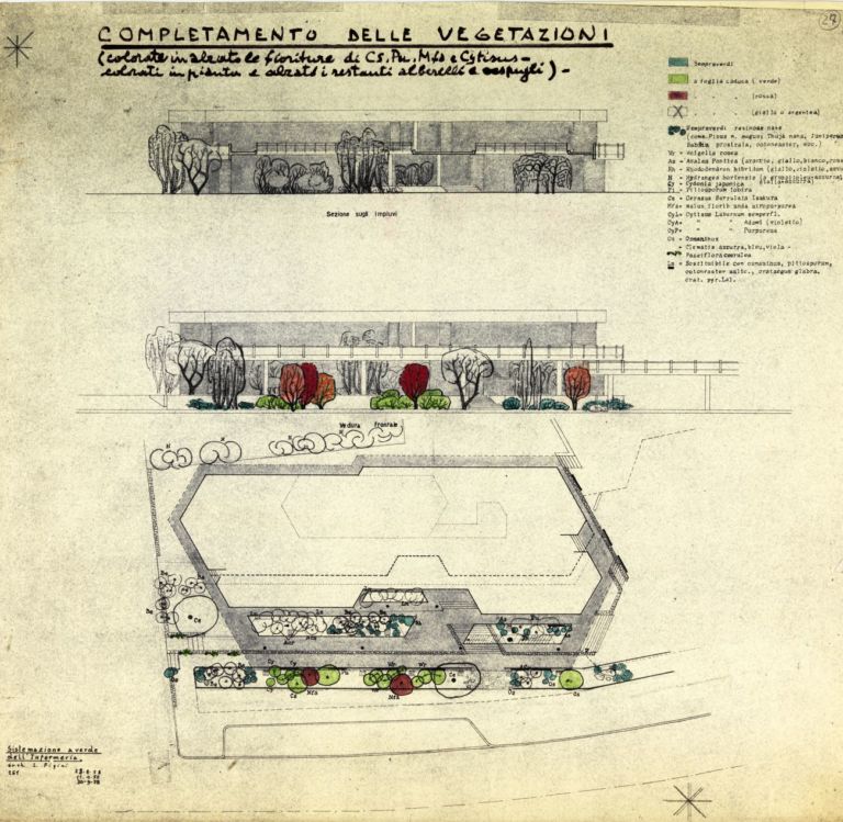 Figini e Pollini, Fascia dei servizi sociali Olivetti, Ivrea (1954 58), eliocopia dettagli per la progettazione del verde. Mart, Archivio del ‘900, Fondo Figini Pollini