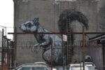 Roa, Squirrel, 2013, 160 Berry Street, New York. Photo Hrag Vartanian via Flickr