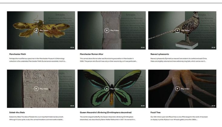 Screenshot da www.mminquarantine.com, Encyclopaedia