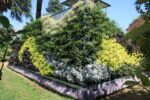 The Living Chapel, Orto Botanico di Roma. Photo credits courtesy of Consuelo Fabriani