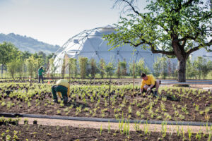 Piet Oudolf progetta il nuovo giardino del Vitra Campus