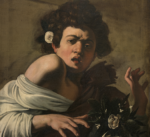 Michelangelo Merisi detto il Caravaggio, Ragazzo morso da un ramarro, 1597 ca., olio su tela, 65,8x52,3 cm. Firenze, Fondazione di Studi di Storia dell'Arte Roberto Longhi