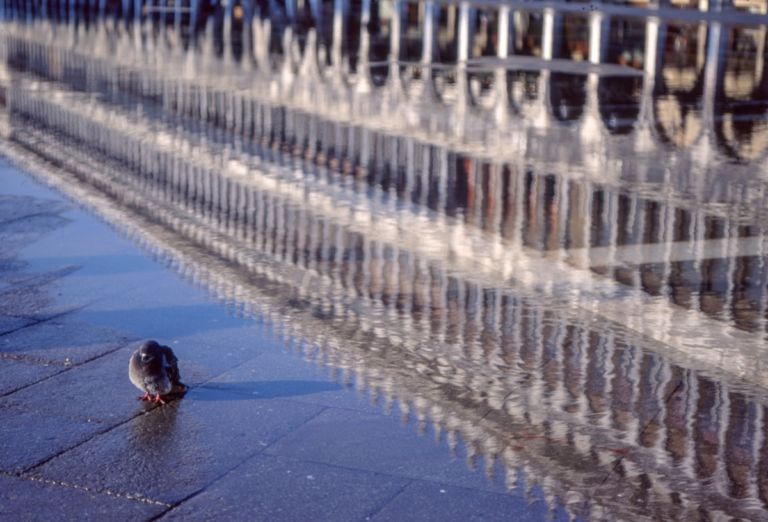 Venezia. Foto di Fulvio Roiter. Copyright Fondazione Fulvio Roiter