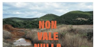 Eleonora Di Marino, Non vale nulla, 2020