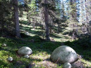 Arcipelago Fossile: le opere di tre artisti disseminate tra i sentieri di Cortina d’Ampezzo