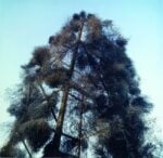 Gianni Pettena, Tumbleweeds catcher, Salt Lake Trilogy, 1972. Stampa fotografica a colori, 1986